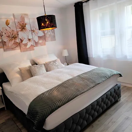 Buddy, 2 Grosse Mit Balkon Todtmoos