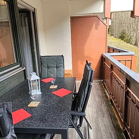 Daire Buddy, 2 Grosse Mit Balkon Todtmoos