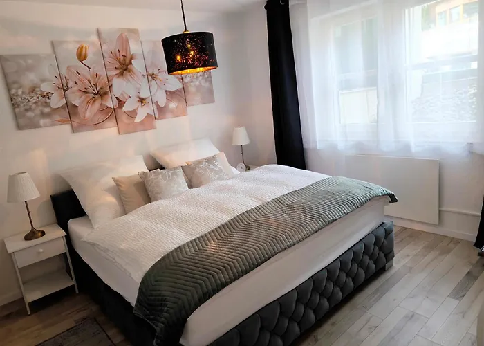 Buddy, 2 Grosse Mit Balkon Todtmoos