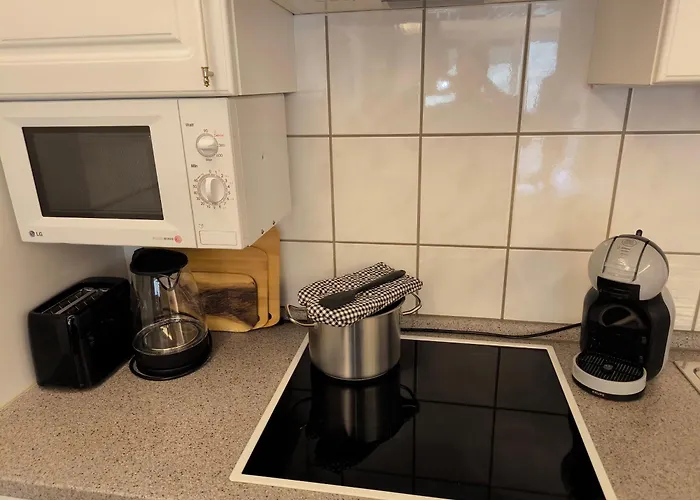 Buddy, 2 Grosse Mit Balkon Apartman Todtmoos